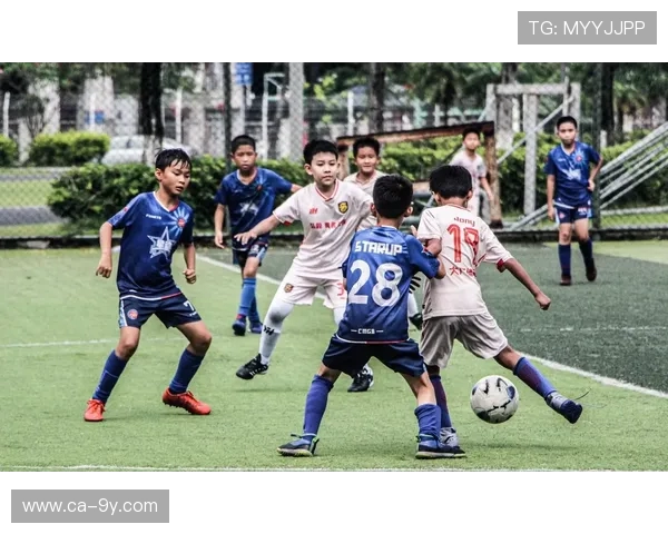 小足球回家之旅描绘少年坚持梦想与团队友情的温暖故事