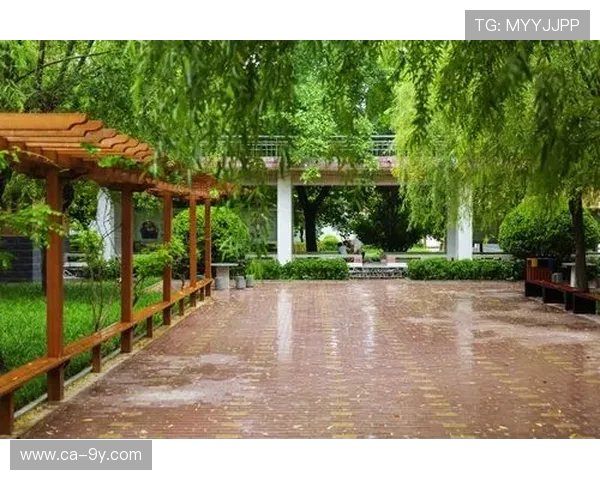 贵阳足球众筹凝聚城市力量共筑绿色梦想助推体育事业新发展