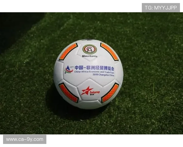 金华单招足球队发展现状与未来潜力分析